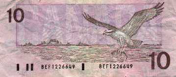 $10 bill back