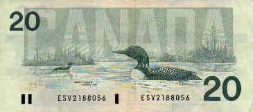 $20 bill back