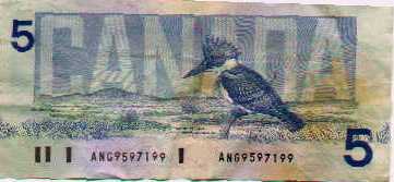 $5 bill